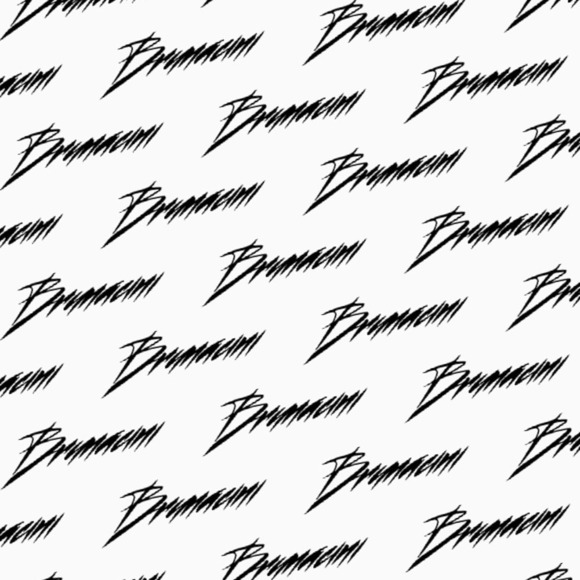 Meet your Posher, Raymond - Picture 1 of 1